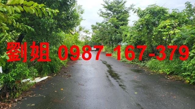 高雄大樹農地-1