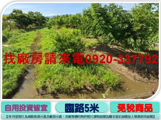 桃園八德農地-1