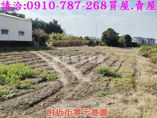 中埔農地-10