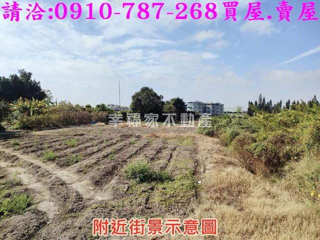 中埔農地-4