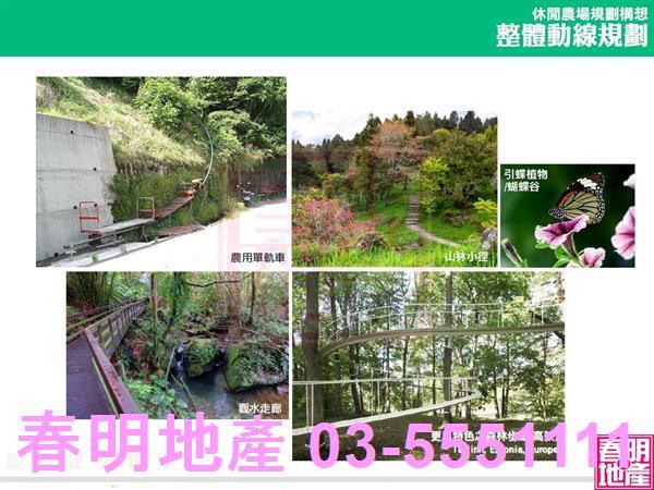 新竹農地-12