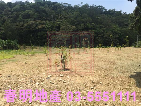 新竹農地-3