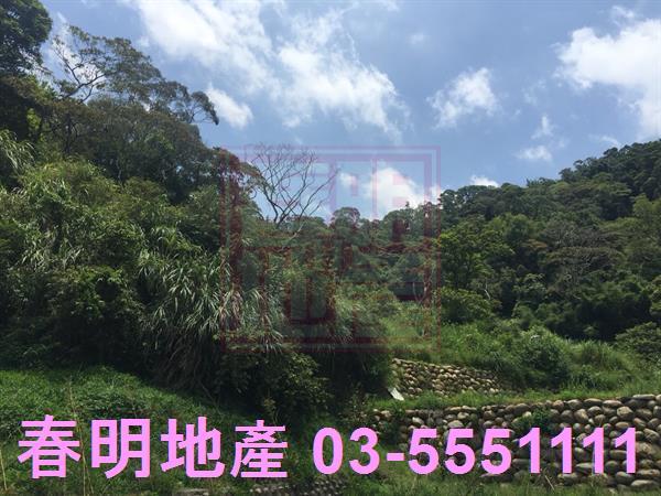 新竹農地-6