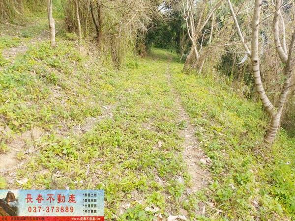 公館農地-4
