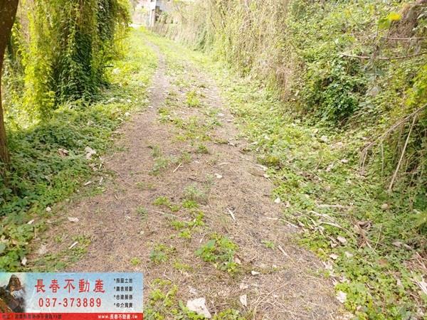 公館農地-6