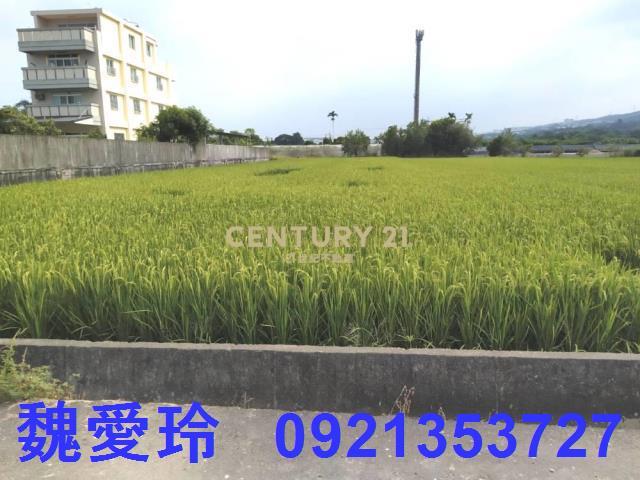 草屯農地-1