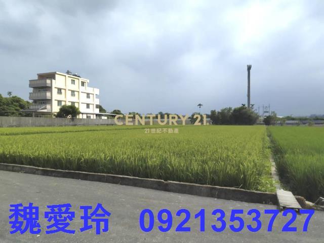 草屯農地-2