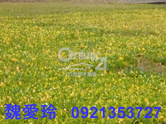 彰化農地-5