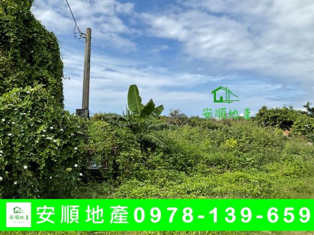 台東台東市農地-1