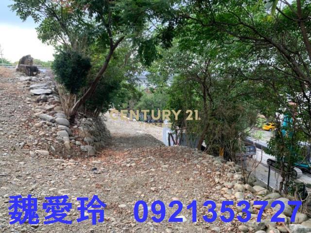 草屯農地-8