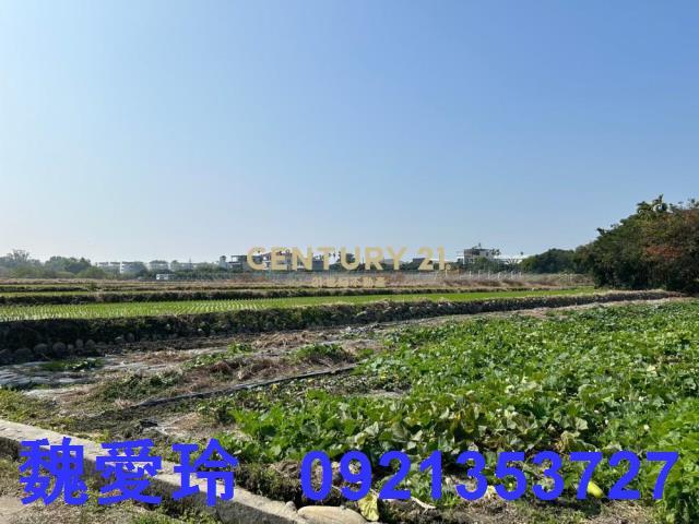 草屯農地-1