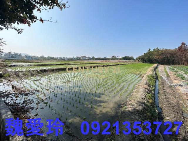 草屯農地-3