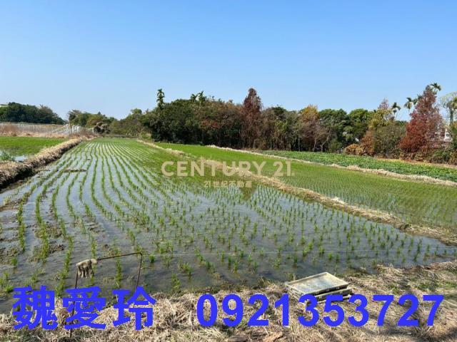 草屯農地-5