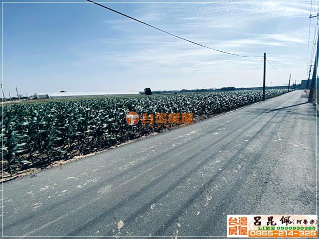 嘉義農地-2