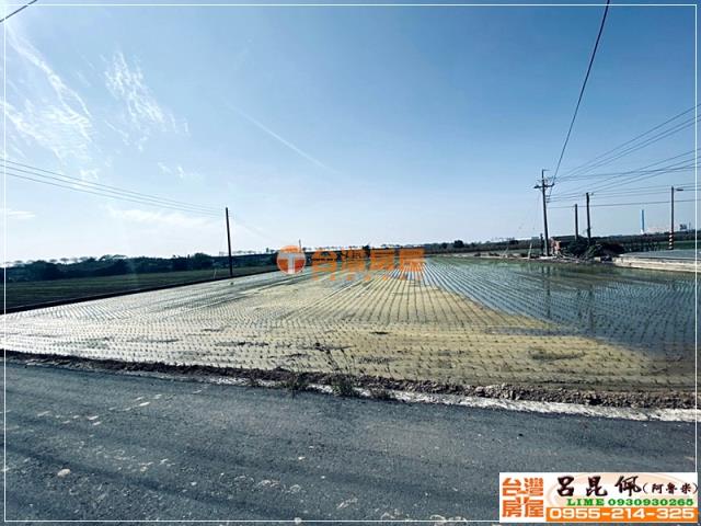 嘉義農地-4