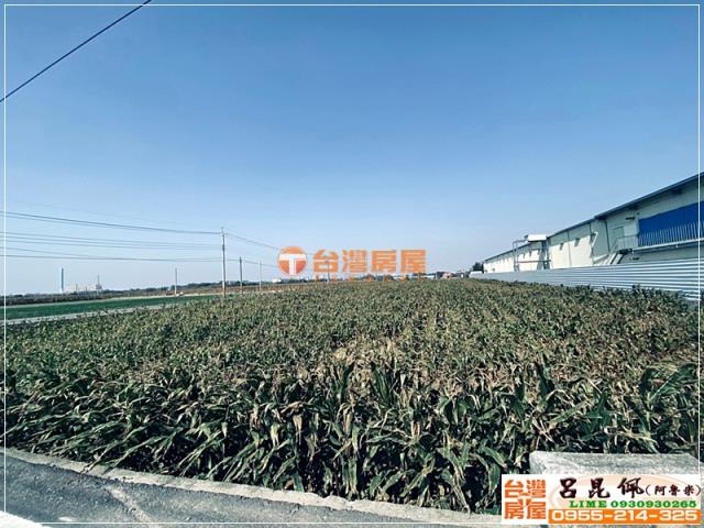 嘉義農地-5