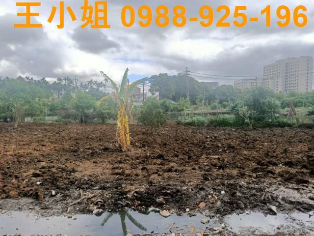 桃園區農地-6