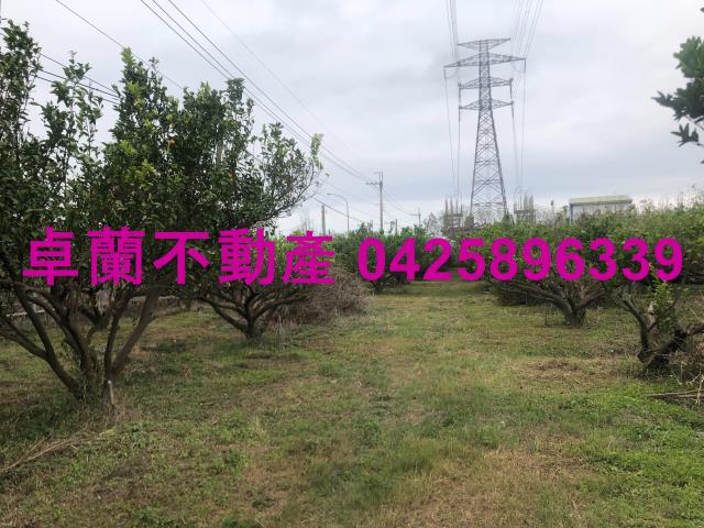 苗栗農地-1