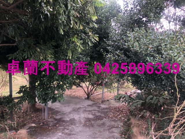 苗栗農地-3