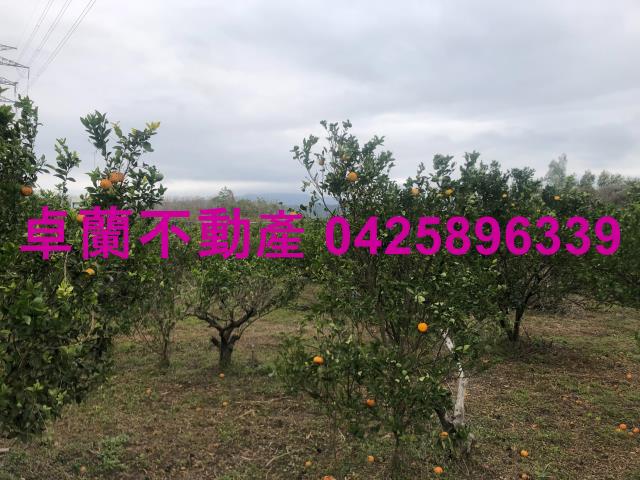 苗栗農地-2
