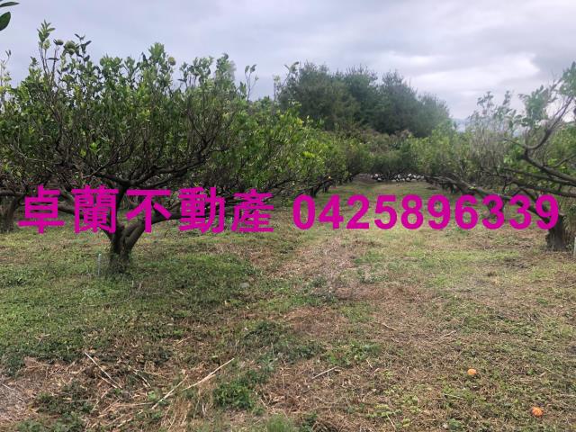 苗栗農地-4
