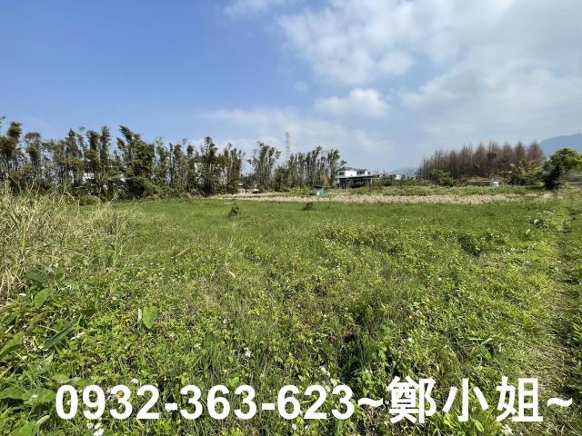 桃園龍潭農地-10