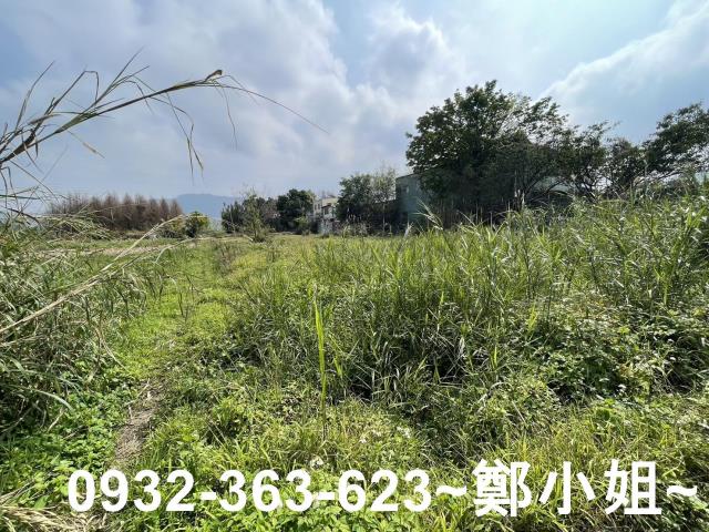 桃園龍潭農地-11