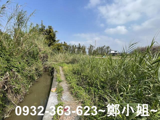 桃園龍潭農地-12