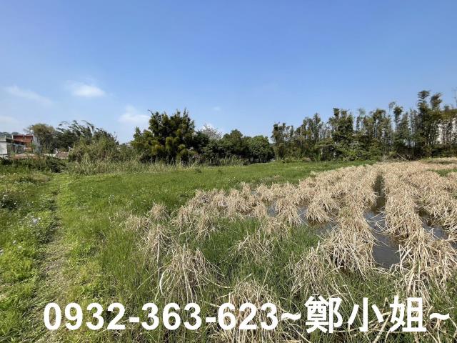 桃園龍潭農地-8