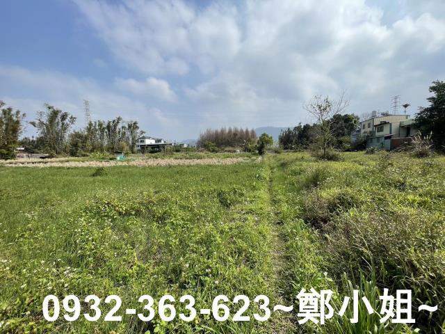 桃園龍潭農地-9