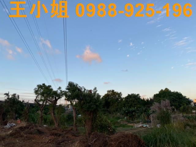 桃園區農地-1
