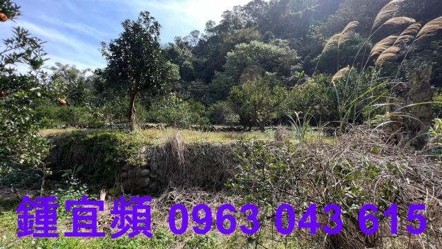 新竹芎林農地-12