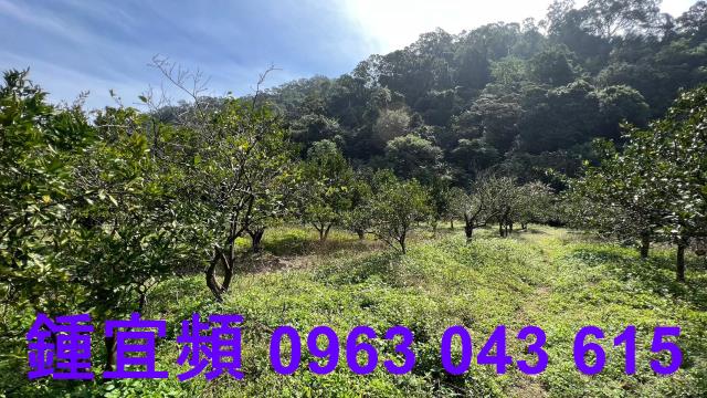 新竹芎林農地-15