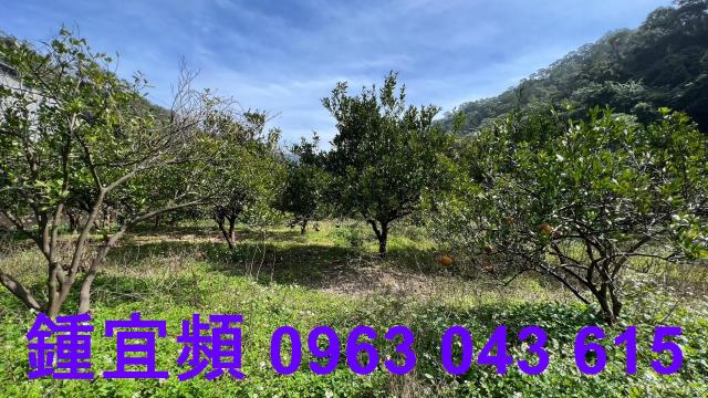 新竹芎林農地-5
