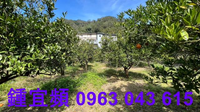 新竹芎林農地-6