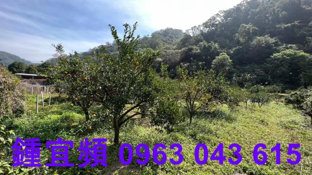 新竹芎林農地-7