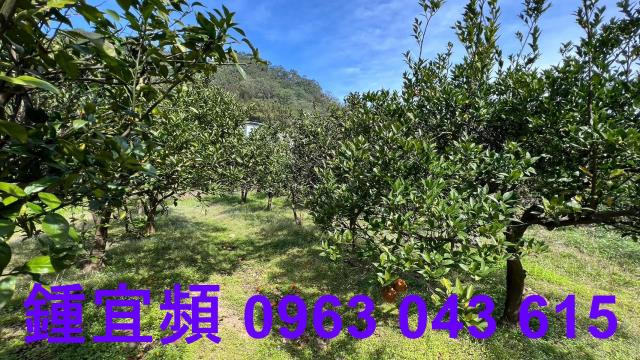 新竹芎林農地-9
