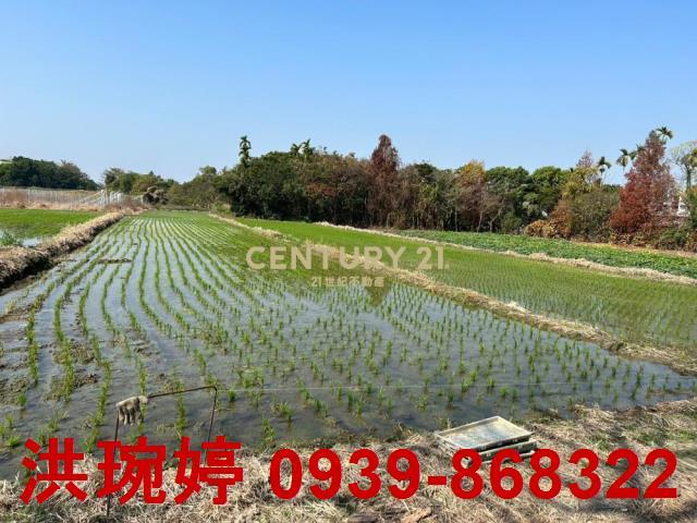 草屯農地-4