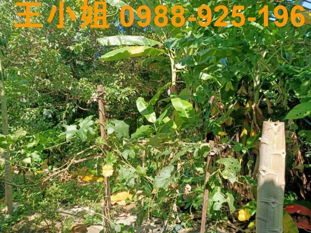 桃園區農地-2