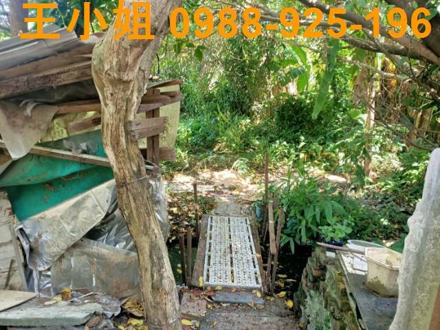 桃園區農地-3