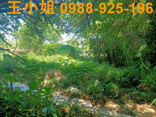 桃園區農地-4
