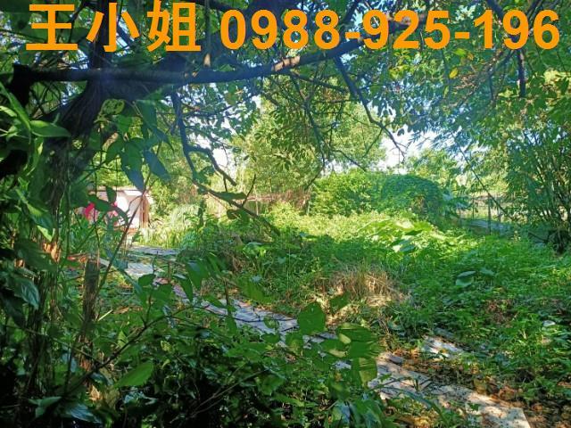 桃園區農地-5