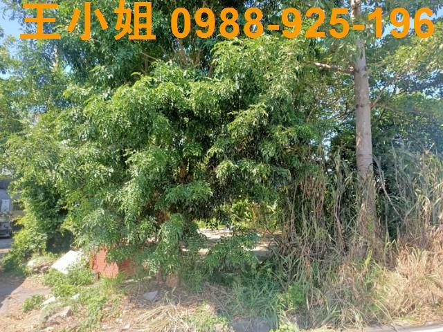 桃園區農地-6