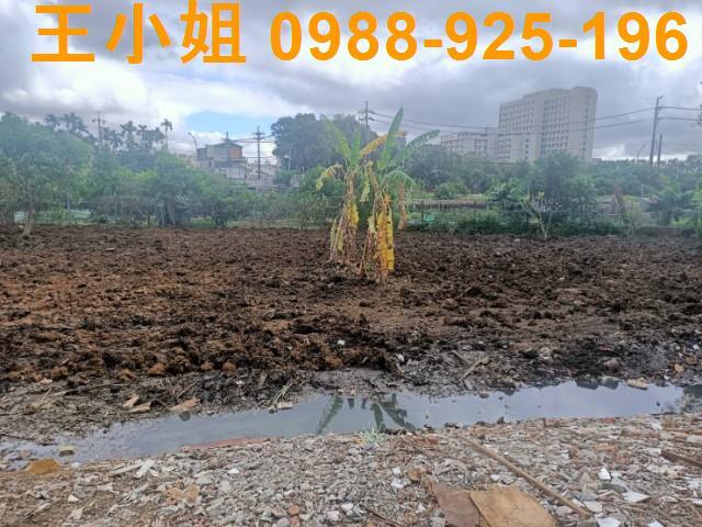 桃園區農地-8