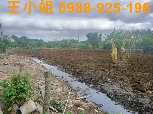 桃園區農地-9