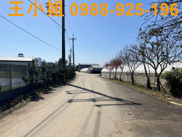 桃園農地-1