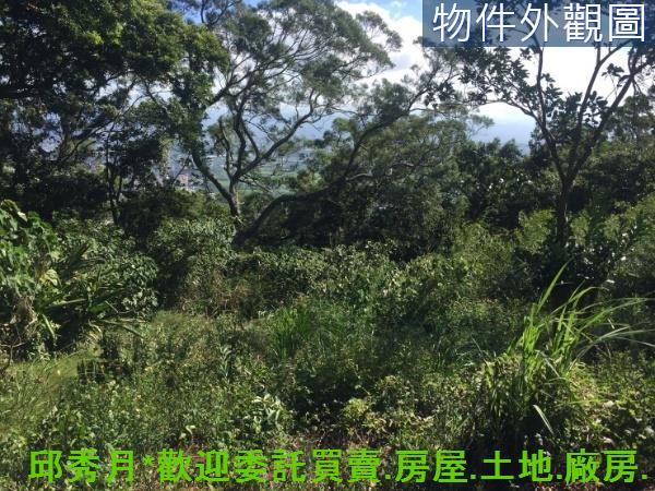 台北北投空百-10