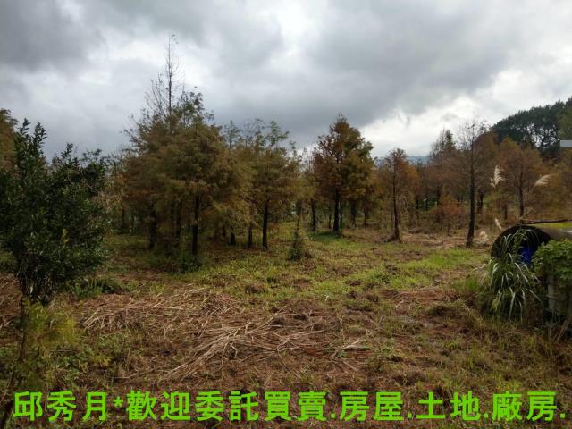 新北淡水農地-15