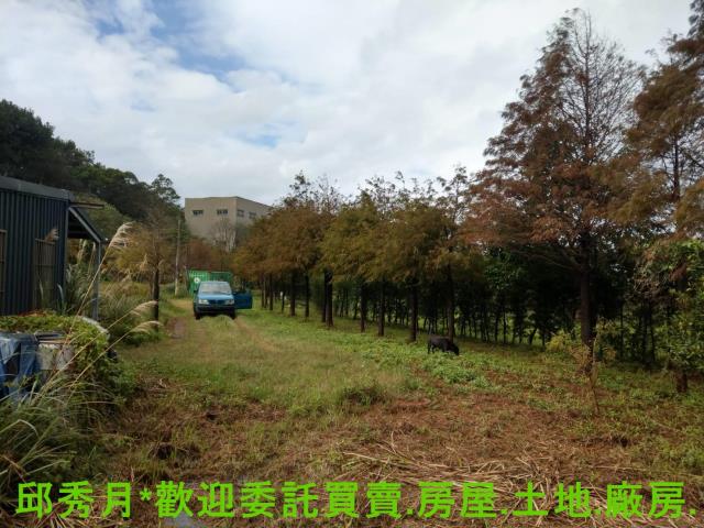 新北淡水農地-4