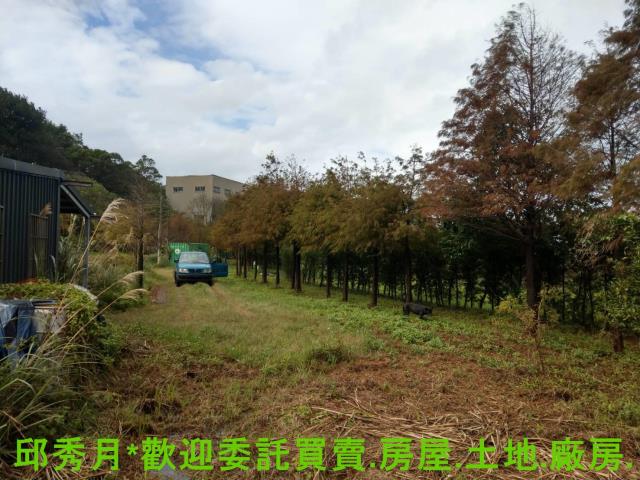 新北淡水農地-5